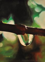 /album/olejomalby-olejove-barvy-rembrandt/kapka-olej-na-desce-70x50cm-1200kc-jpg1/